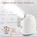 Face Steamer Facial Cleaner